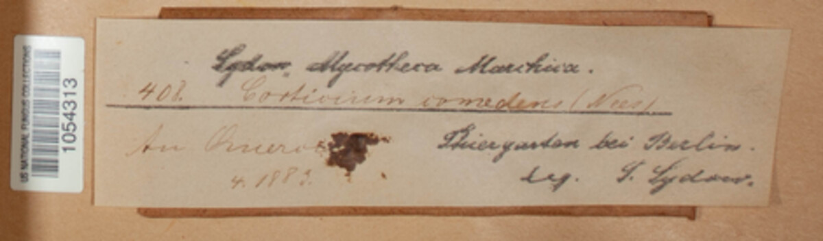 Vuilleminia comedens image